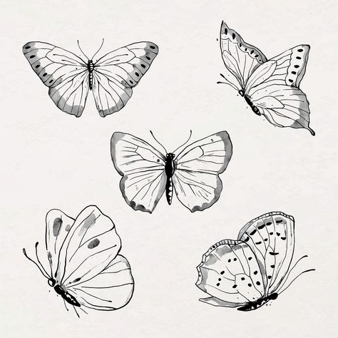 Butterfly Doodle Aesthetic, Japanese Butterfly Drawing, Line Work Butterfly, Aesthetic Butterfly Outline, Butterfly Line Drawing, Butterfly Illustration Black And White, Butterfly Line Art, Butterfly Sketch, Butterfly Artwork