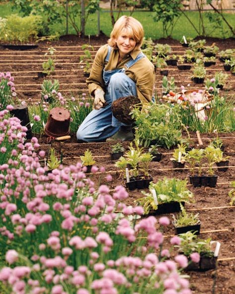 Take a tour with Martha of her previous Connecticut home, Turkey Hill. Large Vegetable Garden, Raising Turkeys, Turkey Hill, When To Plant Vegetables, Garden Layout Vegetable, Vegetable Bed, First House, Aloe Vera Plant, Martha Stewart Living