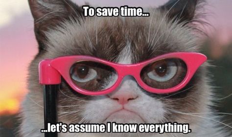 To save time, let's assume I know everything. Grump Cat, Grumpy Cat Quotes, Grumpy Cat Humor, Angry Cat, Cat Quotes, Grumpy Cat, Wild Animals, Crazy Cat Lady, Cat Photo