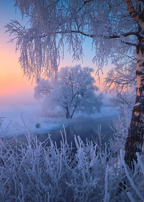 Picture Beautiful, Winter Mornings, Winter Sun, Winter Light, Frozen Lake, Winter Wallpaper, Winter Magic, Winter Scenery, Photo Nature