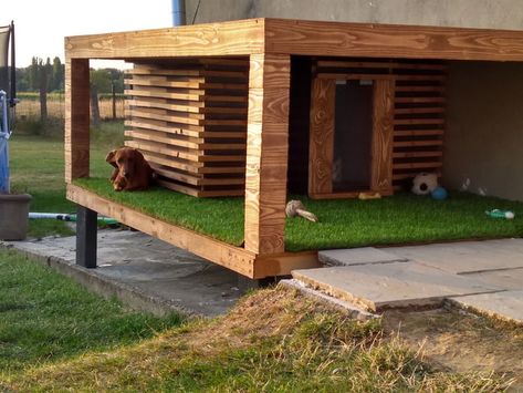 Dog villa I made Outdoor Dog House Ideas, Dog House Ideas, Luxury Dog House, Pallet Dog House, Insulated Dog House, Modern Dog Houses, Dog Kennel Designs, Dog House Plans, Outdoor Dog House