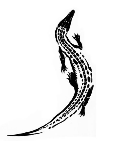 Need this tattoo, alligators are strong and wise, and have survived millions of years. Plus they're BA. Acab Tattoo, Alligator Tattoo, Crocodile Tattoo, Petit Tattoo, Dope Tattoos, Tattoo Design Drawings, Skin Art, Tiny Tattoos, Future Tattoos