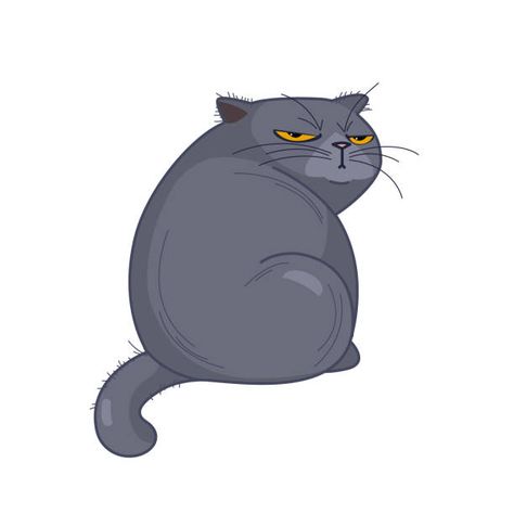 Fat Cat Tattoo, Cranky Cat, Cats Art Drawing, Cat Drawings, Cats Drawing, Cat Themed Gifts, Mom Cat, Fat Cat, Cat Fashion