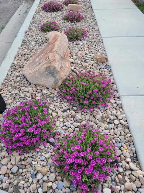 Rock Landscaping Ideas Side Of House, Rock Garden Against House, Parking Strip Landscaping Curb Appeal, Rock Garden With Flowers, Stone Landscaping Ideas Flower Beds, Flower Bed With White Rocks, Front Yard Strip Landscaping, Decorative Rock Landscaping Flower Beds, Rocked Flower Bed