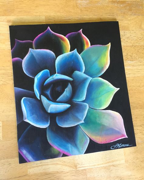 Prismacolor Art On Black Paper, Succulent Art Painting Acrylic, Chalk Succulent Drawing, Succulent Pastel Drawing, Colored Pencil Succulent Drawing, Paintings Of Succulents, Chalk Pastel Ideas, Oil Pastel Black Paper, Easy Succulent Painting