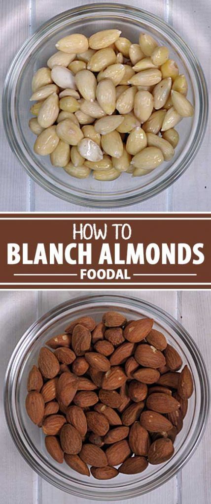 How to Blanch and Peel Almonds at Home | Foodal Nuts And Seeds Recipes, Roasted Almonds Recipe, Soaked Almonds, Recovery Food, Meatless Main Dishes, Almond Nut, Nut Recipes, Lchf Recipes, Blanched Almonds