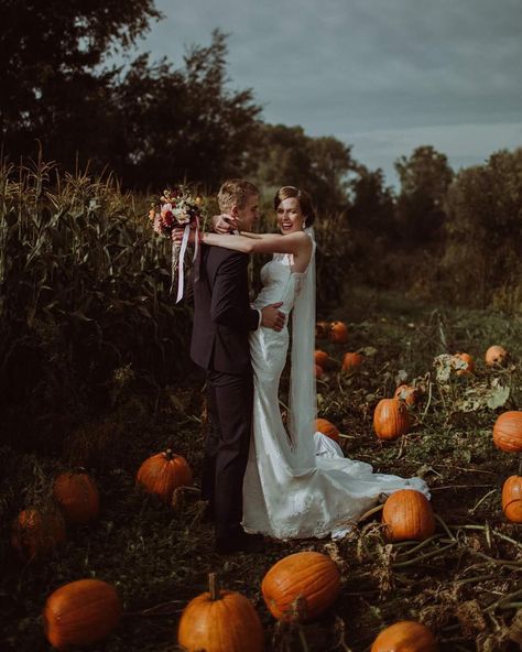 October Wedding Picture Ideas, Halloween Wedding Pumpkins, Pumpkin Aisle Wedding, Pumpkin Patch Wedding, Wedding Pumpkins, Snow Wedding, Pumpkin Wedding, Commitment Ceremony, Pumpkin Season