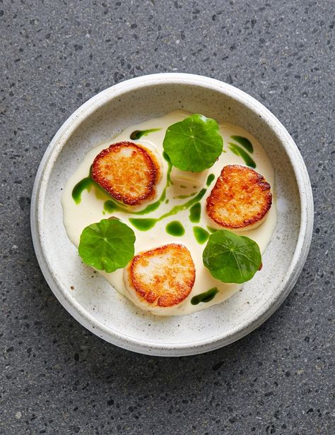 Scallops In Shell, Bbq Scallops, Scallop Starter, Amuse Bouche Ideas, Gourmet Plating, Best Canapes, Vday Dinner, Futuristic Food, Easy Scallop Recipes