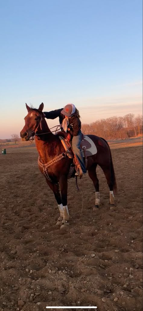 Western Horse Riding Aesthetic, Western Riding Aesthetic, Riding Horse Aesthetic, Pics With Horses, Barrel Racing Aesthetic, Riding Pictures, Western Pics, Barrel Horses, Horse Photo Shoot