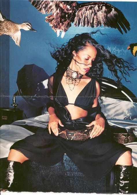 #aaliyah Not Photogenic, Braids Ombre, Afro Goth, Aaliyah Pictures, Ombre Braid, David Lachapelle, Aaliyah Style, Aaliyah Haughton, I See Stars