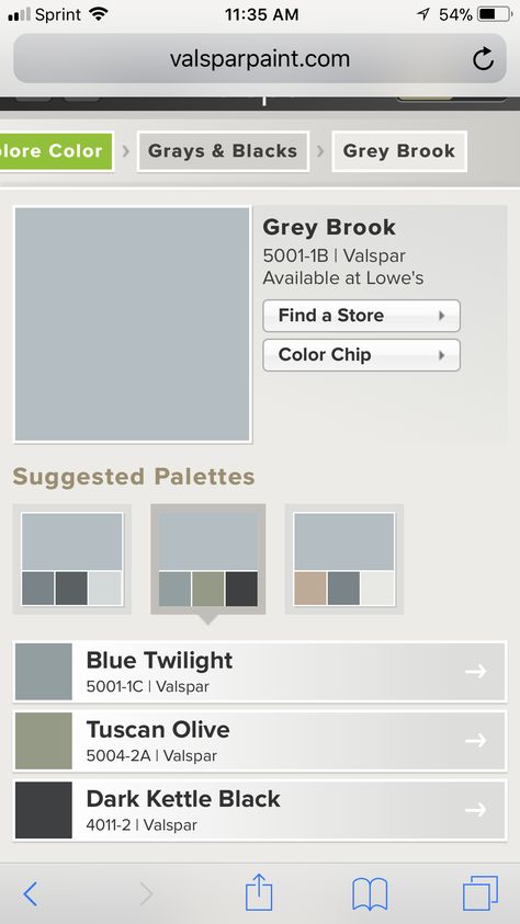 Kitchen cabinet color- grey brook Valspar Gray, Color Chip, Kitchen Cabinet Colors, Cabinet Colors, Exterior Paint, Kitchen Cabinet, Home Projects, Guest Room, Bar Chart