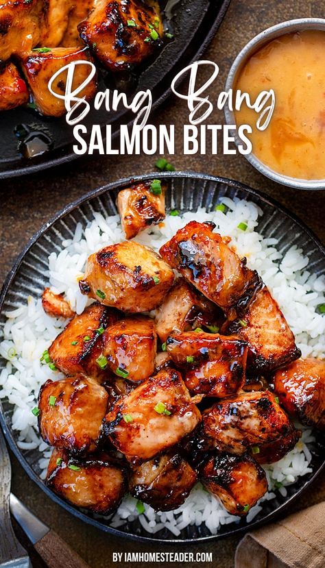 There is a black pan, and a small metal plate with bang bang salmon bites on them. On the plate the salmon is on a bed of white rice. Next to those, there is a small silver cup of bang bang sauce. This is all on a dark counter top. Bang Bang Salmon Bites, Bang Bang Salmon, Salmon Bites Recipe, Bang Bang Sauce, Salmon Bites, Makeup Smokey, Salmon Dishes, Air Fryer Dinner Recipes, Fish Dinner