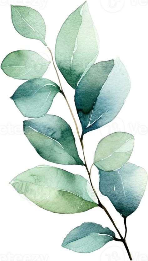 Botanical Reference, Watercolour Leaf, Procreate Watercolor, Church Graphic Design, Tree Saw, Loose Watercolor, Painted Leaves, Watercolor Leaves, Cityscape Photos