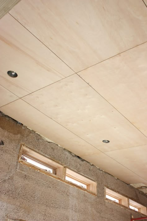 Wood Ceiling Ideas, Decorative Ceiling Panels, Plywood Ceiling, Ceiling Options, Plywood Interior, Plywood Walls, Soundproof Room, Basement Ceiling, The Push