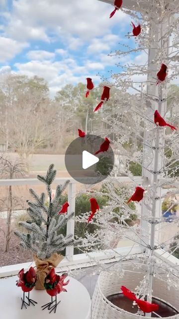 Shannon Aycock | Pop of Pippi on Instagram: "Cardinals have been very special to me since losing my parents. Every single time I see one I immediately feel a sense of comfort because it reminds me that I always have them watching over me. I’ve loved having this tree and the cardinals on my porch this Christmas and I’m not quite ready to put it away…it totally works as a winter tree, too, right? ❤️" White Christmas Tree With Red Cardinals, Cardinal Christmas Tree Ideas, White Christmas Tree With Red, Cardinal Christmas Tree, Tree Themes, Watch Over Me, Winter Tree, Red Cardinal, White Christmas Tree