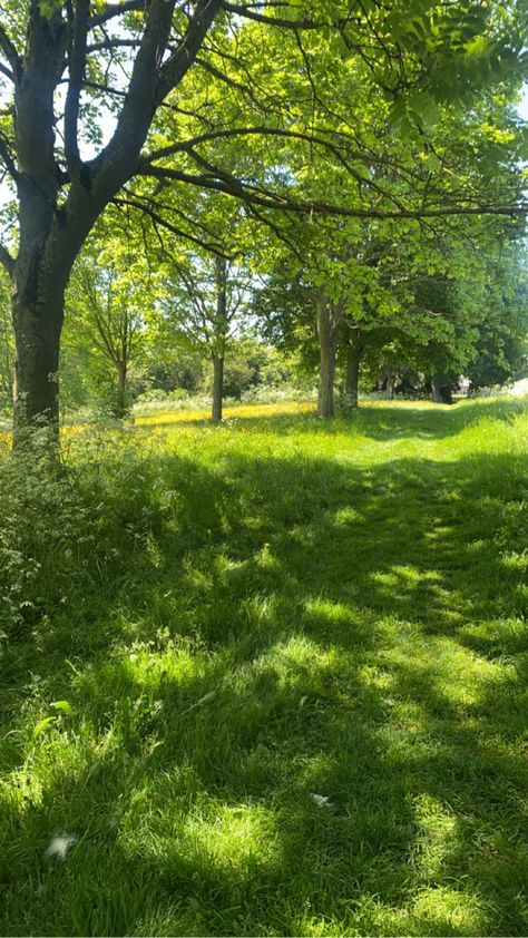 Sunny Green Nature Aesthetic, Garden Summer Aesthetic, Summer Trees Aesthetic, Summer Grass Aesthetic, Green Outdoor Aesthetic, Grass Aesthetic Wallpaper, Green Grass Aesthetic, Grassland Aesthetic, Outfit Picker