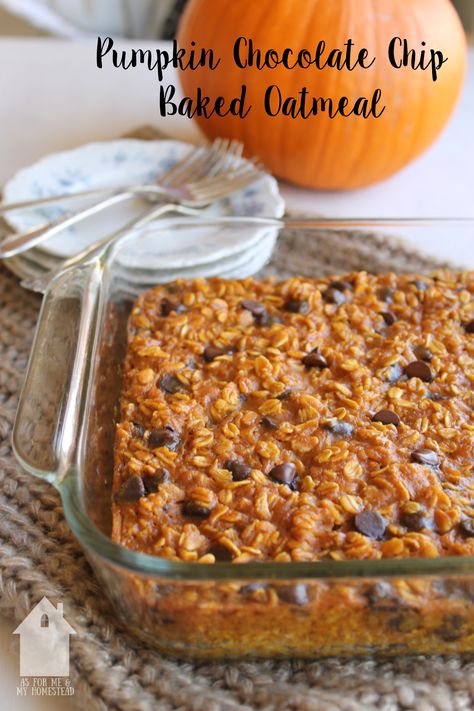 Chocolate Chip Pumpkin Oatmeal Bars, Pumpkin Chocolate Chip Breakfast Bars, Pumpkin Chocolate Baked Oatmeal, Healthy Fall Breakfast Meal Prep, Healthy Pumpkin Oatmeal Recipes, Crockpot Pumpkin Oatmeal Overnight, Best Fall Breakfast Recipes, Pumpkin Banana Baked Oatmeal, Pumpkin Baked Oatmeal Recipes