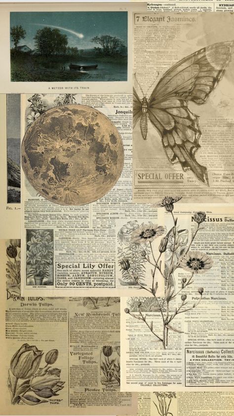 #vintage #collage #newspaper #paper #themoon Aesthetic Newspaper Template, Old Newspaper Collage, English Newspaper Aesthetic, Newspaper Art Aesthetic, Vintage Background Design Printables, Vintage Newspaper Aesthetic Printable, Diary Aesthetic Vintage, Black And White Newspaper Aesthetic, Newspaper Art Diy Creative