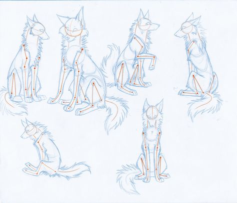 How to drw Wolves Part 3-body by Kimai on DeviantArt Wolf Skeleton Drawing, Wolf Study, Canine Reference, Wolf Sitting, Wolf Poses, Wolf Sketch, Canine Drawing, Some Drawings, Pet Drawing