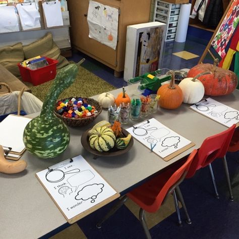 Pumpkin Investigation, Kindergarten Inquiry, Pumpkins Kindergarten, Pumpkin Science, Fall Centers, Inquiry Learning, Reggio Classroom, Halloween Kindergarten, Pumpkin Activities