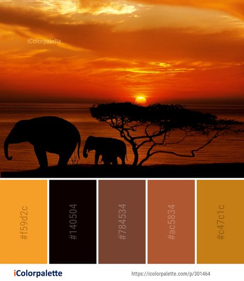 Color Palette ideas from 1478 Sunrise Images | iColorpalette African Wedding Color Schemes, African Colour Palette Color Inspiration, African Color Palette Colour Schemes, Colors Of Africa, Safari Colour Palette, African Inspired Color Palette, South Africa Color Palette, Ancient Color Palette, Africa Color Palette