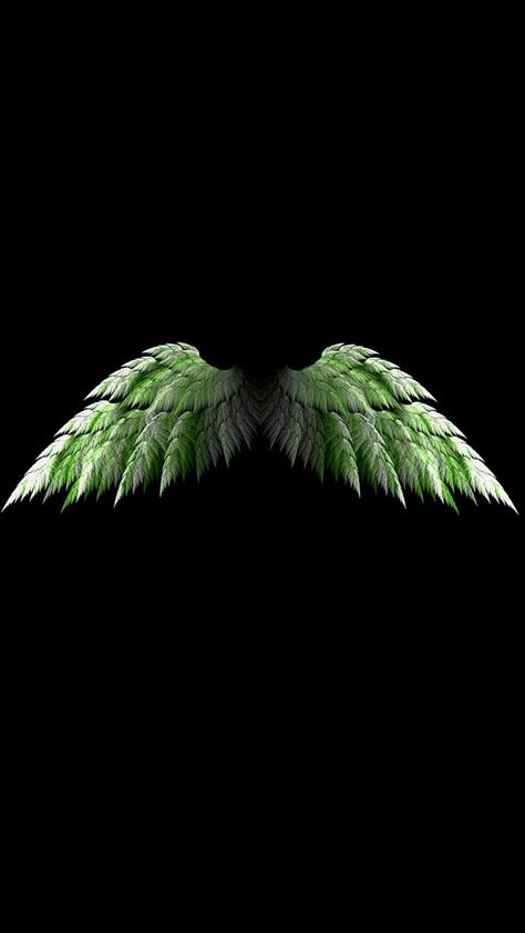 Green Angel, Angel Wings Art, Green Wing, Wings Art, Black Wings, I Wallpaper, Iphone Background, Angel Wings, Black And Grey