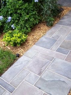 How to paint a faux slate walkway on concrete. I really like this look. Think I am going to try it on concrete board behind my wood stove! Slate Walkway, Paint Concrete Patio, Candy Girls, Outdoor Walkway, Concrete Walkway, Front Walkway, Gardening Books, Chalk It Up, Stamped Concrete