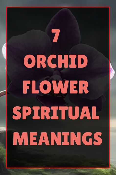 Orchids reveal deep spiritual meanings, from love to resilience; discover how these seven interpretations can illuminate your life’s journey. Orchids Meaning, Orchid Meaning, Yellow Orchid, Color Symbolism, Green Orchid, Symbolic Representation, Animal Symbolism, Flower Meanings, Romantic Gestures