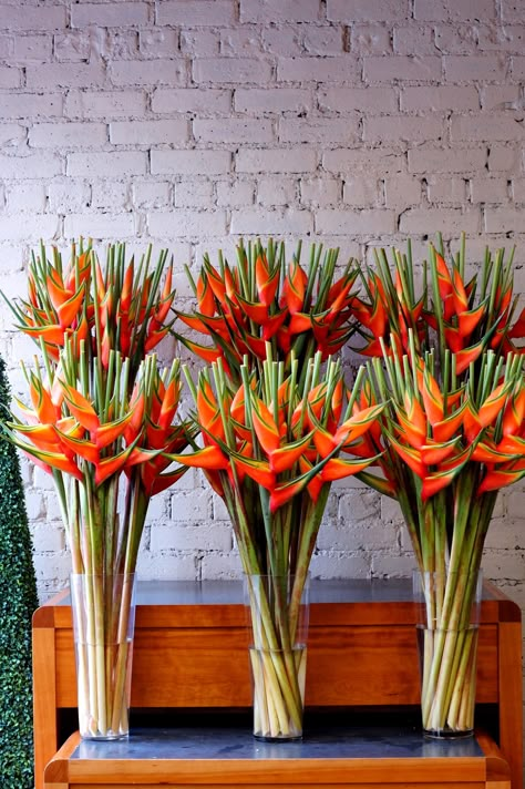 Heliconia Flower Arrangement, Heliconia Arrangement, Flower Arrangements Spring, Spring Flower Arrangements Centerpieces, Thanksgiving Display, Hotel Flower Arrangements, Heliconia Flower, Tropical Floral Arrangements, Forever Roses