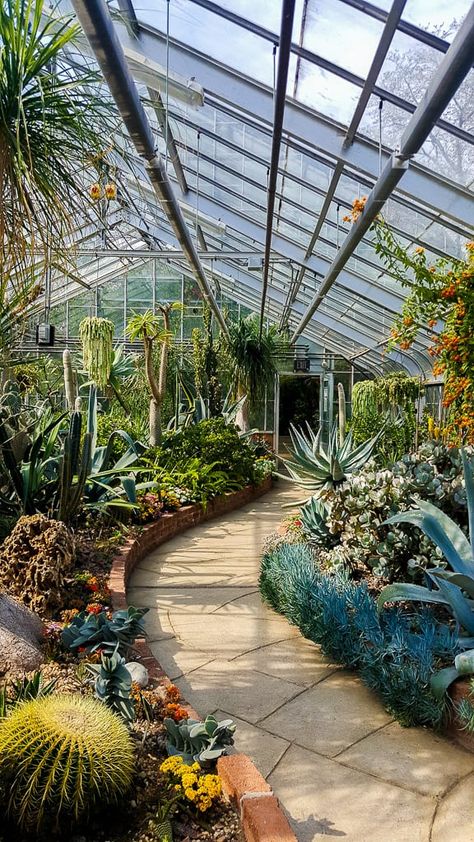 Kaktus Dan Sukulen, Tropical Greenhouses, Conservatory Greenhouse, Centennial Park, Backyard Greenhouse, Garden Greenhouse, Greenhouse Gardening, Earthship, Opening Hours