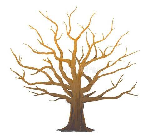 Tree Without Leaves, Oak Tree Drawings, Oak Tree Silhouette, Big Oak Tree, Red Oak Tree, Tree Outline, Big Crown, Leaf Outline, Old Oak Tree