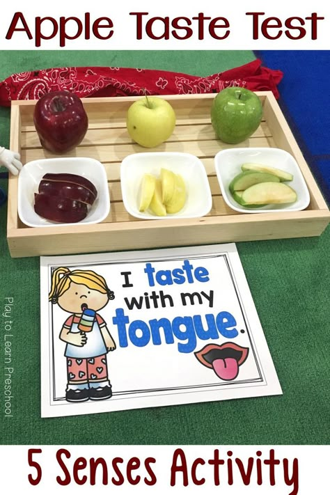 The Apple Taste Test is a wonderful way to incorporate the sense of taste into your lesson. It also sneaks in vocabulary, math, and science. via @PlayToLearnPS Apple Taste Test, 5 Senses Activity, Senses Activity, Five Senses Preschool, 5 Senses Activities, Preschool Apple Theme, Senses Preschool, My Five Senses, Apple Lessons