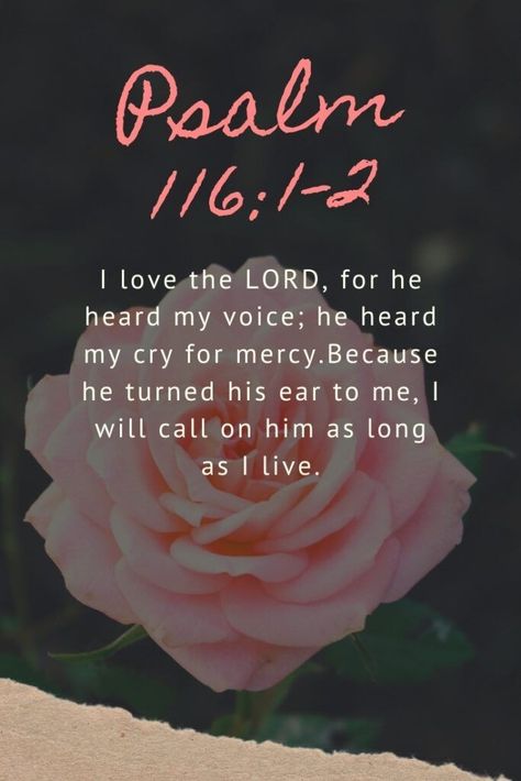 I love the Lord, for he heard my voice; he heard my cry for mercy. Because he turned his ear to me, I will call on him as long as I live. Bible Verses For Comfort, Verses For Comfort, Comfort Verses, Psalm 116, Bible Verses Kjv, I Love The Lord, Beautiful Bible Verses, Prayer Verses, Prayer Scriptures