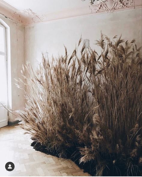 Foliage Installation, Wedding Foliage, Sagittarius Season, Flower Installation, Arte Floral, 인테리어 디자인, Art And Architecture, Beautiful Things, Winter Wedding