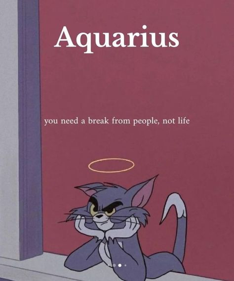 Aquarius Memes Funny Truths, Aquarius Funny Hilarious, Aquarius Quotes Funny, Zodiac Signs In Order, Aquarius Funny, Aquarius Personality, Aquarius Art, Aquarius Traits, Aquarius Life