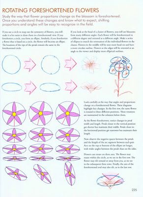 John Muir Laws Drawings, Nature Journaling For Kids, Nature Observation Journal, John Muir Laws Nature Journaling, In Every Walk With Nature John Muir, John Muir Laws, Nature Sketchbook, Bird Journal, Drawing Plants