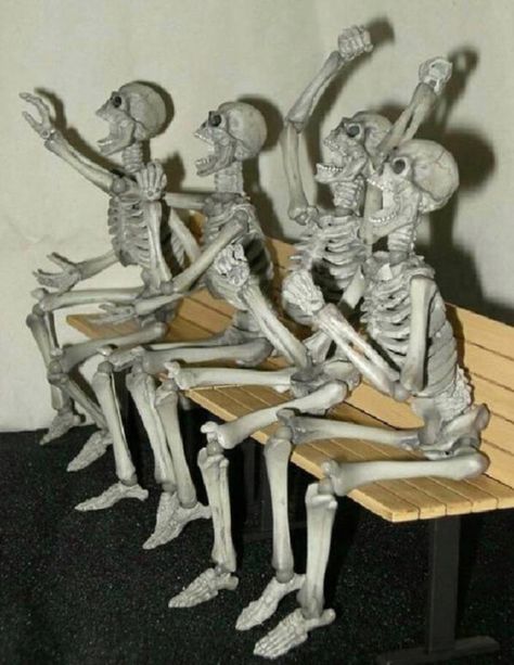 24 Funny Pics of the Crazy Oddball Sort - Skeleton Pics, Books And Pens Photography, Silly Skeleton, Skeleton Photo, Ok Ko Cartoon Network, Funny Skeleton, Fandom Funny, Spooky Scary, Weird Pictures