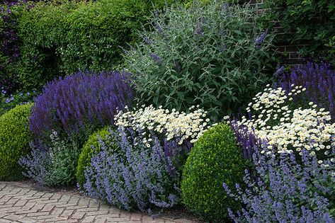 Herbaceous Border, Cottage Garden Design, Garden Area, Front Landscaping, Garden Shrubs, Have Inspiration, Front Yard Garden, Garden Borders, Gorgeous Gardens