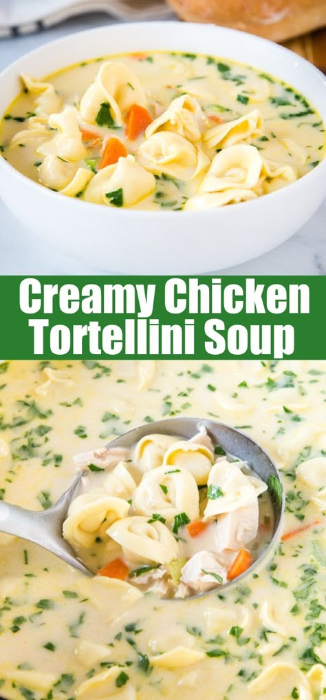 Tortellini Soup Crockpot, Soup Recipes Chicken, Creamy Chicken Tortellini Soup, Creamy Chicken Tortellini, Soup Tortellini, Cheese Tortellini Soup, Chicken Carrots, Creamy Tortellini Soup, Chicken Tortellini Soup