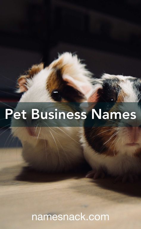 Petshop Names Ideas, Pet Business Name Ideas, Pet Shop Names Ideas, Pet Sitting Business Names, Pet Services Business, Pet Cafe, Pet Care Business, Pet Branding, Pet Sitting Business