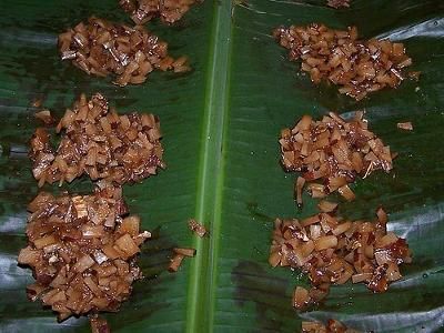 Coconut Drops Recipe, Food Jamaican, Coconut Drops, Jamaican Desserts, Jamaican Dishes, Coconut Candy, Jamaican Food, Jamaican Recipes, Coconut Recipes