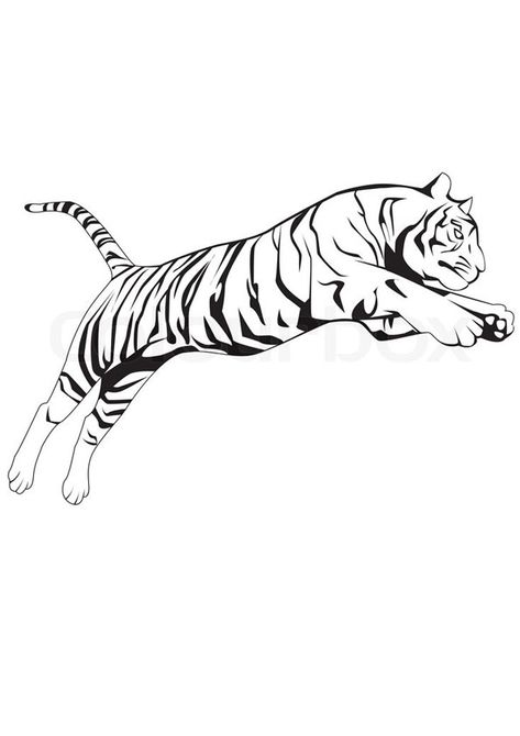 Jumping Tiger Coloring Page for kids. Free Printable Coloring Pages of Tiger download and print For Kids. Jumping Tiger Drawing, Tiger Jumping Drawing, Jumping Tiger Illustration, Jump Pose, Sketch Tiger, Jump Art, Jumping Tiger, Jump Animation, Tiger Coloring