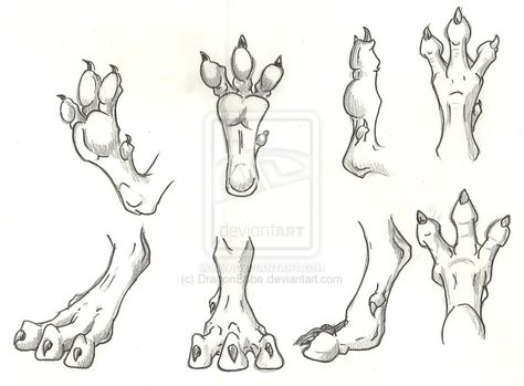 Drawing Suggestions, Dragon Anatomy, Dragon Drawings, Feet Drawing, Dragon Sketch, Film Disney, Writing Art, Dragon Drawing, Dragon Art