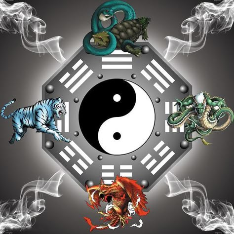 Elemental Yin Yang Jing Y Jang, Ying Yang Art, Yin Yang Designs, Yin Yang Art, Yin Yang Tattoos, Buddhist Meditation, Image Swag, I Ching, Magic Aesthetic