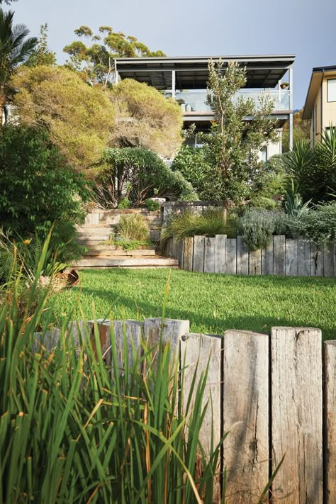 Survive and Thrive | green magazine Sustainable Garden Design, Australian Garden Design, Green Magazine, Bush Garden, Australian House, Australian Native Garden, Future Space, Diy Garden Fountains, Sloped Garden