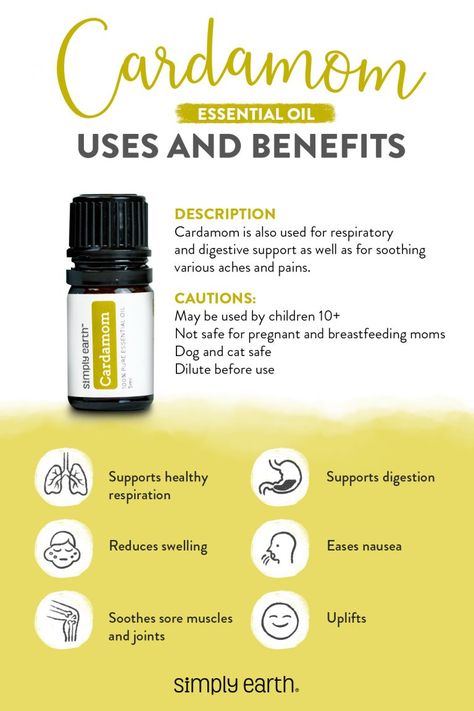 Benefits Of Cardamom, Cardamom Plant, Focus Essential Oil Blend, Essential Oils Focus, Cardamom Essential Oil, Simply Earth, Yl Oils, Essential Oil Benefits, Bug Bites