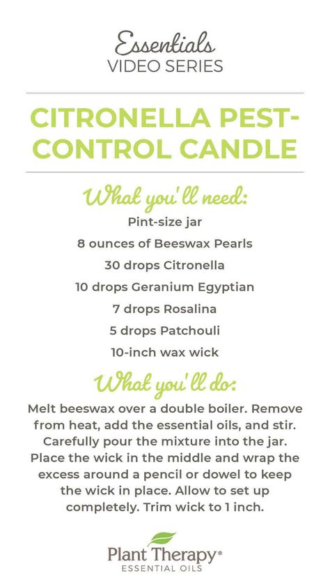 Citronella Candles Diy Outdoor Parties, Diy Citronella, Citronella Candle, Citronella Essential Oil, Are Essential Oils Safe, Candle Diy, Household Pests, Doterra Business, Homemade Items