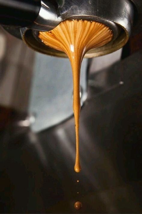 Coffee Obsession, Coffee Photos, Coffee Photography, Coffee Is Life, Latte Art, Chocolate Coffee, Coffee Cafe, Coffee Love, Espresso Coffee