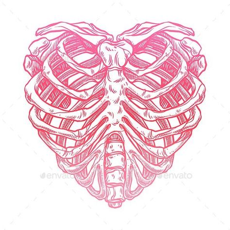 Skeleton heart shape Rib Cage Drawing, Gothic Drawings, Skeleton Heart, Heart Illustration, Skeleton Art, Heart Drawing, Anime Crafts, Creative Poster Design, Flash Art