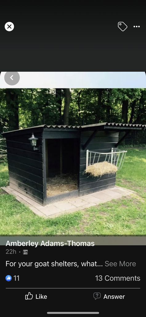 Goat House Made Out Of Pallets, Goat And Pig Pen, Backyard Goat Pen, Pig Kennel Ideas, Diy Goat Pen Fence, Simple Goat Pen, Mini Highland Cow Shelter, Farm Animal Shelter Ideas, Sheep House Diy